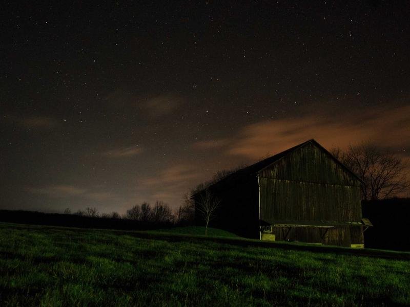 Avocado Toast with Poached Egg