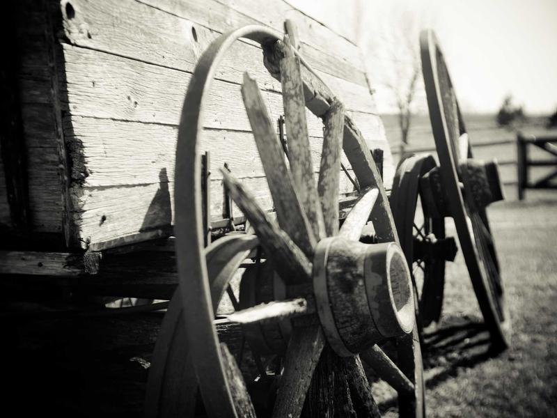 Beef & Vegetable Stir Fry