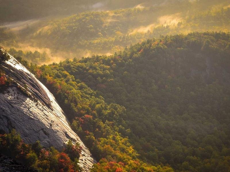 Classic Fluffy Pancakes