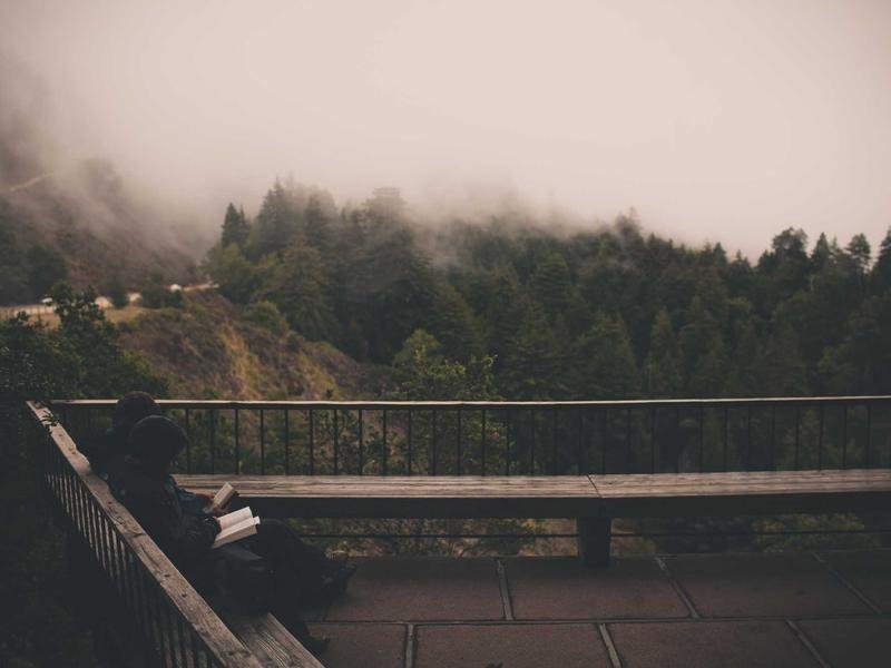 Rich Tomato Pasta Sauce